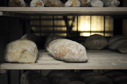 artisan-bread-hipster-food1